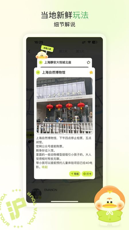 游鸭_图片5