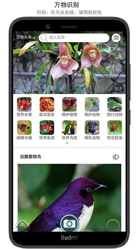 万物识别_图片1