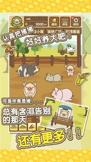 养猪场MIX_图片1
