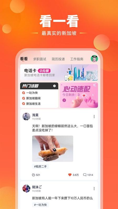 去狮城_图片5