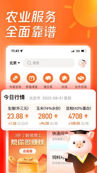 猪博士_图片5