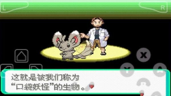 口袋妖怪漆黑的魅影_图片5