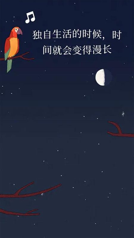 孤独的鸟儿_图片4
