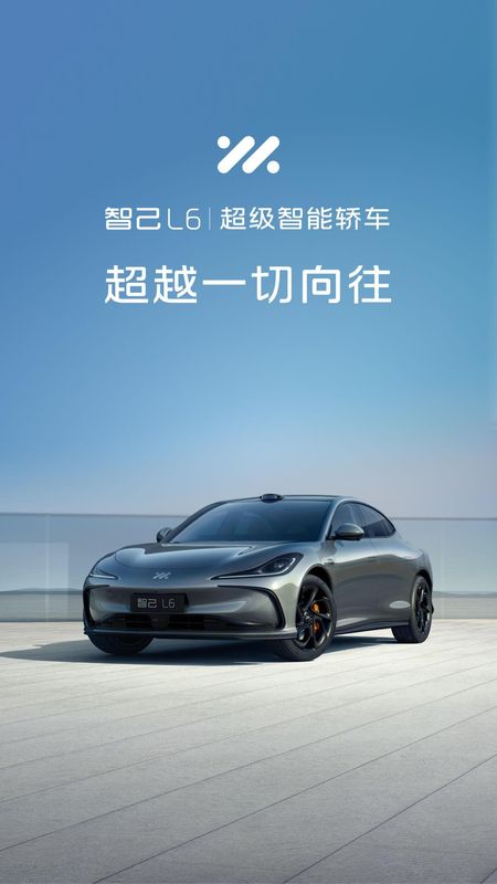 IM 智己_图片1