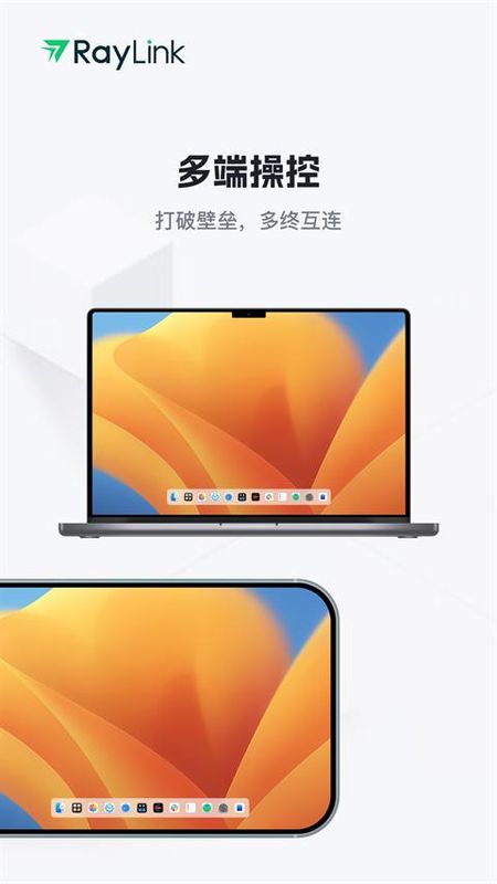 RayLink_图片3