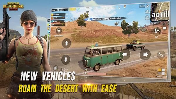 pubg国际服体验服_图片5