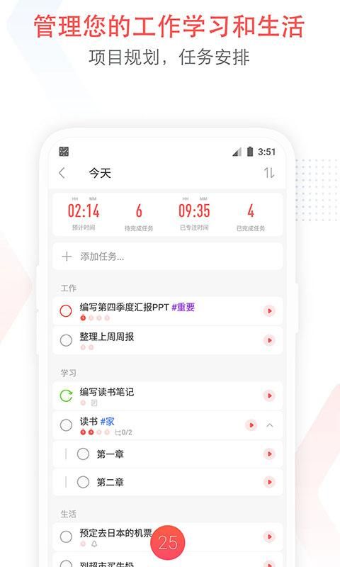 小番茄_图片1