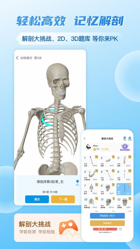 维萨里3d解剖_图片5