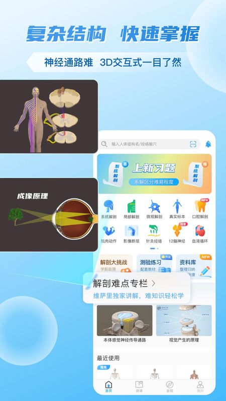 维萨里3d解剖_图片3