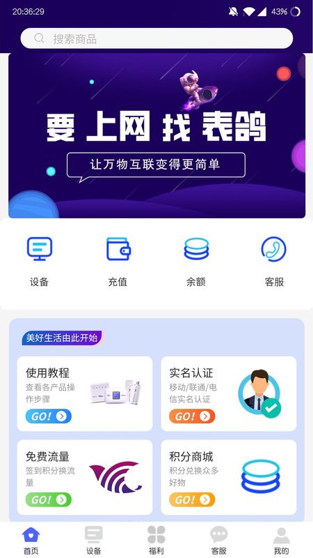 表鸽_图片1
