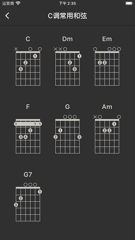 guitar tuner_图片5