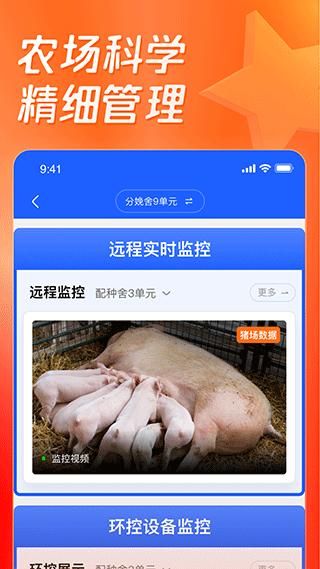 猪博士_图片4