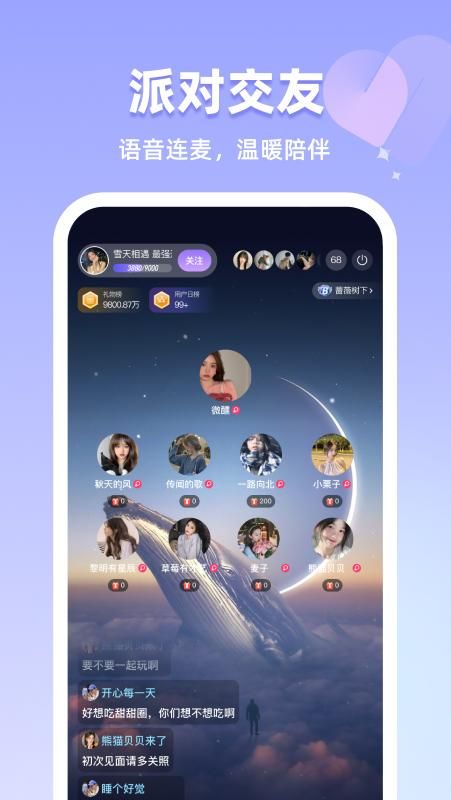 月猫_图片3
