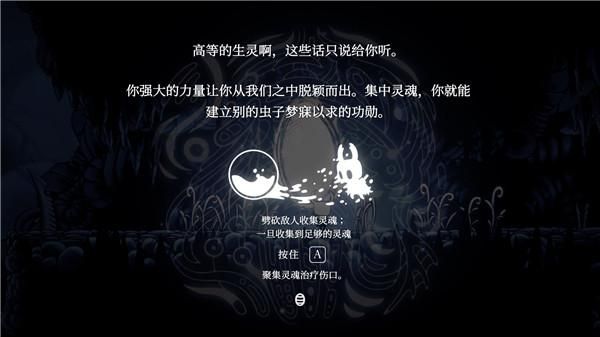 空洞骑士_图片1