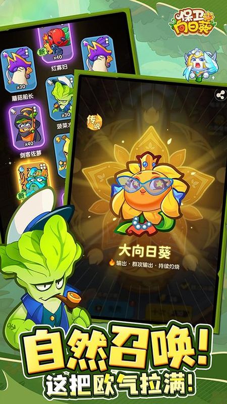保卫向日葵_图片4