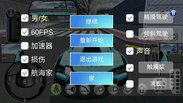 3D驾驶课_图片4