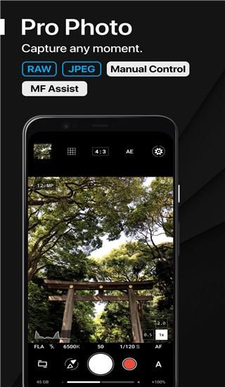 proshot_图片3