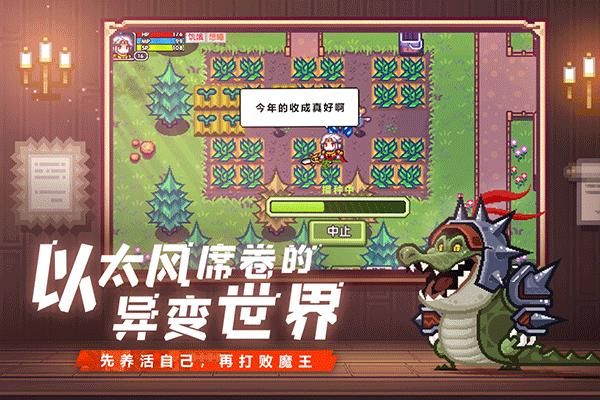 伊洛纳精英服_图片5