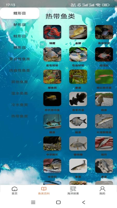 悠然鱼语_图片2