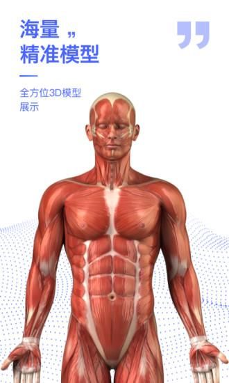 人体3D解剖图谱_图片4