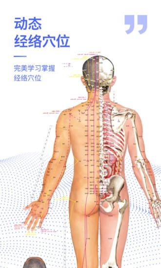 人体3D解剖图谱_图片3