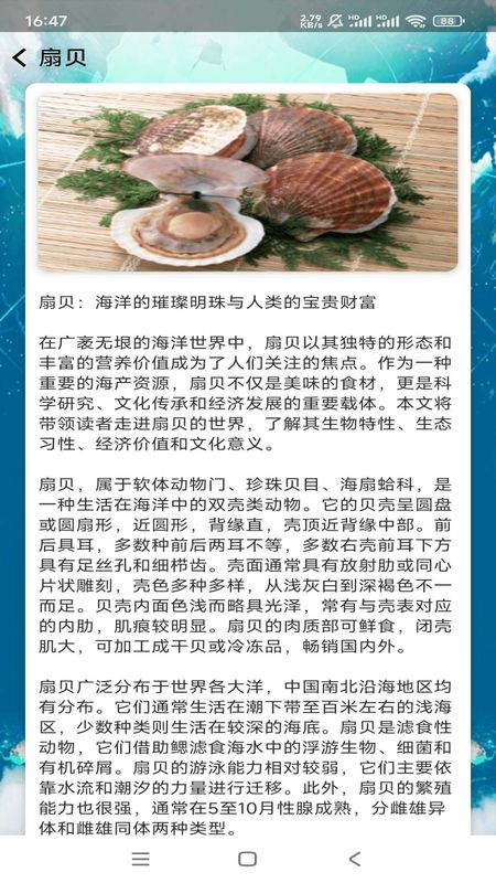悠然鱼语_图片4