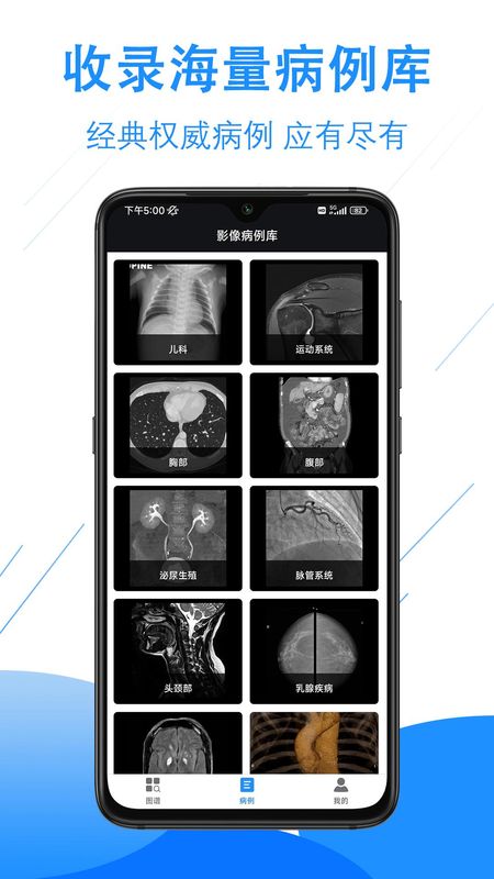 影像解剖图谱_图片5