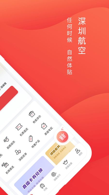 深圳航空_图片2