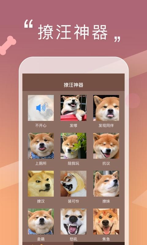 人狗交流器_图片3