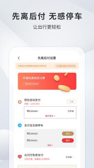 宜昌城市停车_图片3