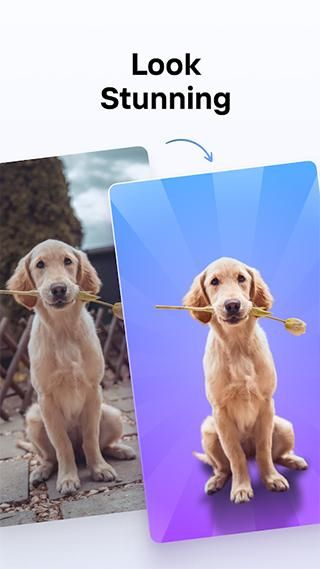 photoroom_图片4