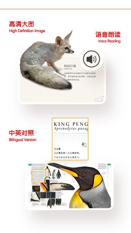千奇百科岛_图片4