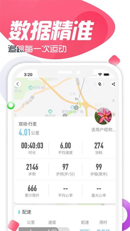双动_图片4