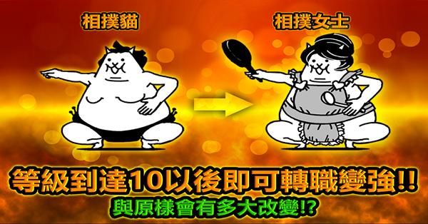 猫咪大战争_图片4