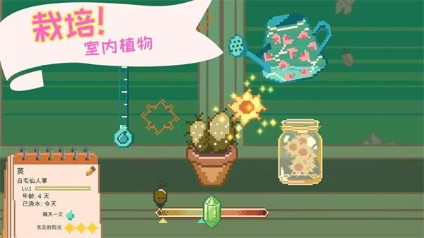 窗边花园_图片2