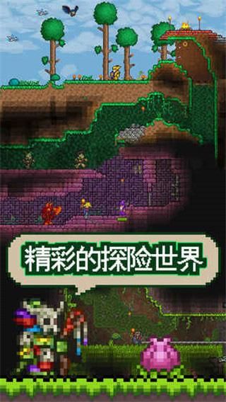 泰拉瑞亚联机版_图片3