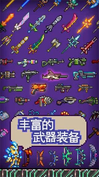 泰拉瑞亚联机版_图片2