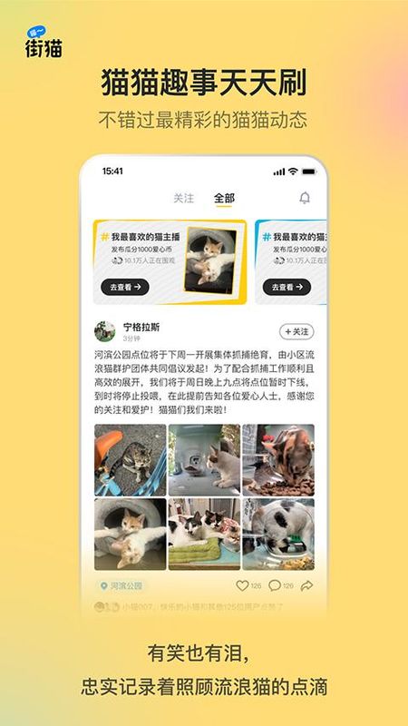哈啰街猫_图片4