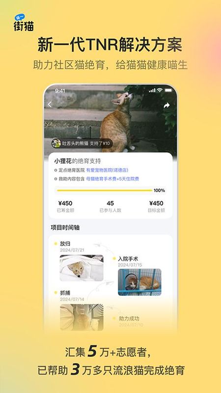 哈啰街猫_图片2