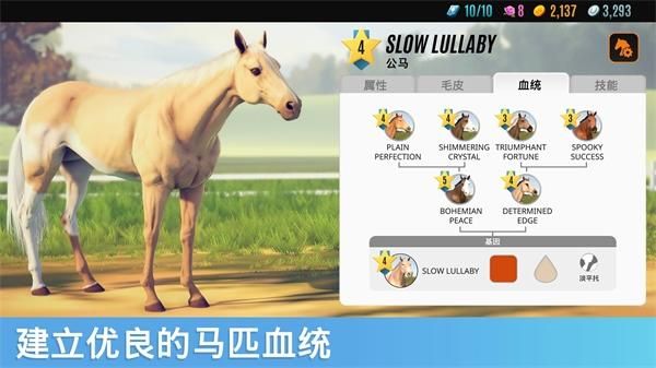 家族传奇马匹养成竞技手游_图片5