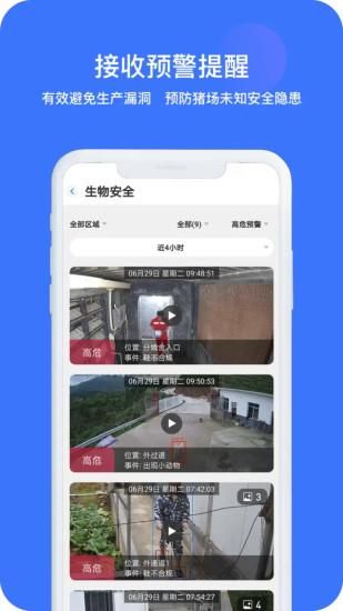 猪联网_图片1