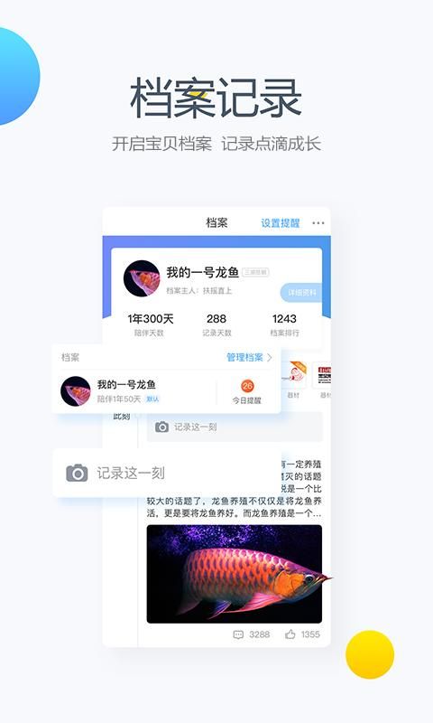 龙巅_图片4
