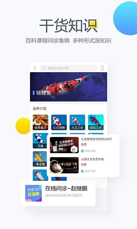 龙巅_图片3
