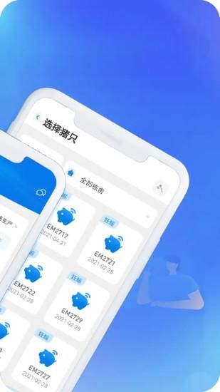 猪联网_图片5