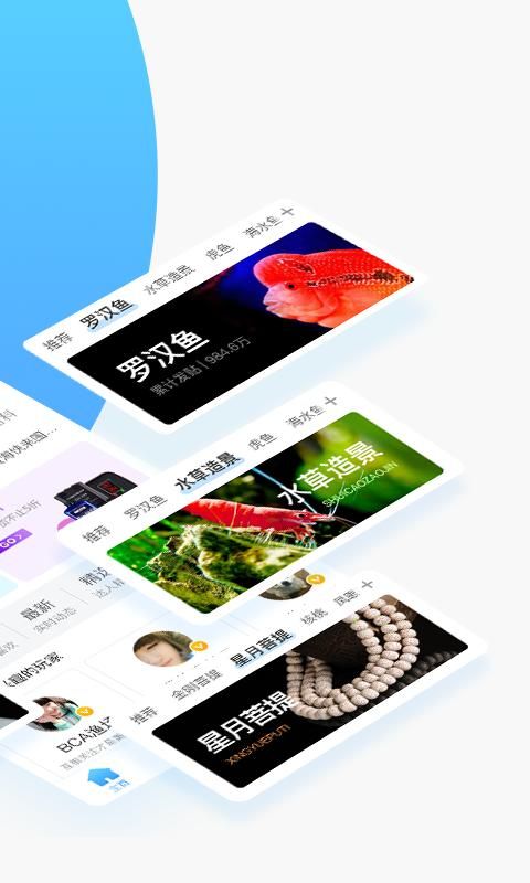龙巅_图片2