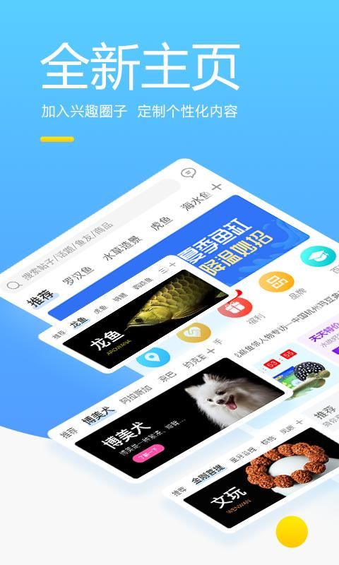 龙巅_图片1