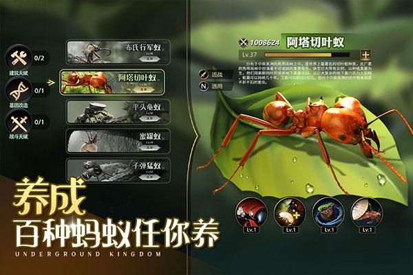 小小蚁国无限资源版_图片1