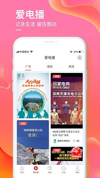 爱如电_图片2