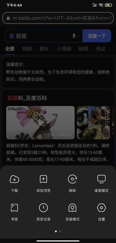 狐猴浏览器_图片2