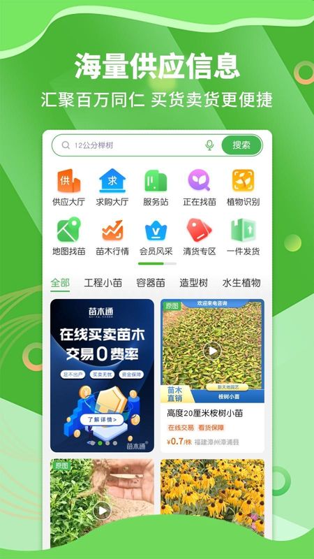 苗木通_图片1